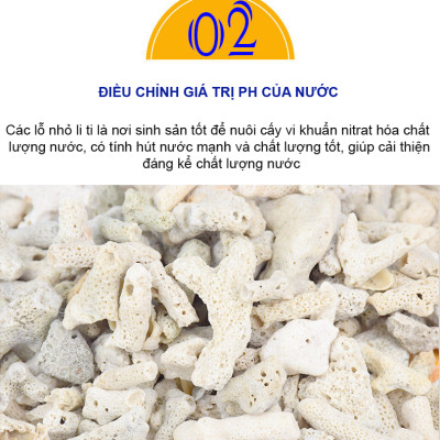 San Hô Vụn túi 1KG + Phân nền thủy sinh SMEKONG II 2KG giàu dinh dưỡng, trang trí bể cá, hồ cá
