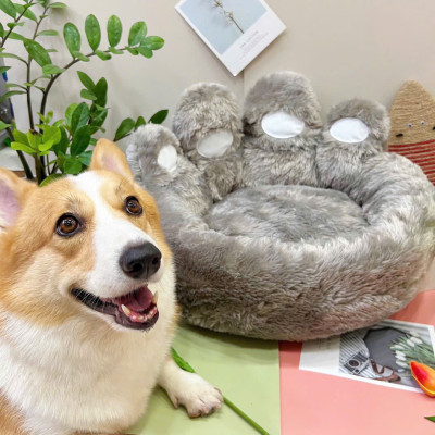 NỆM CHÂN CHÓ DƯỚI 12KG DÀNH CHO THÚ CƯNG CHÓ MÈO