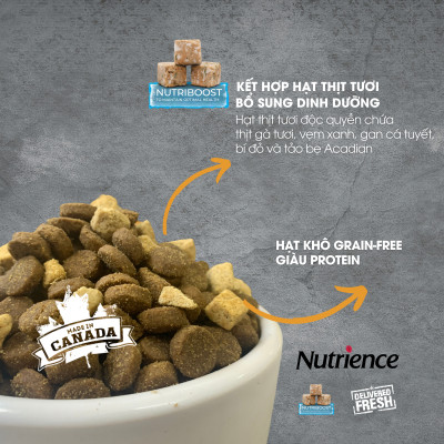 Thức Ăn Hạt Cho Chó Nutrience Subzero Grain-free - Thịt Gà Tây, Cá Hồi, Cá Đại Dương, Rau Củ Và Trái Cây Tự Nhiên 
