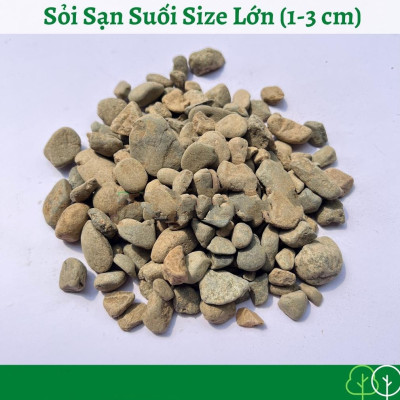 Sỏi Sạn Suối Thiên Nhiên | Sỏi Trải Nền Trang Trí Hồ Cá, Bể Thủy Sinh Hàng Siêu Đẹp