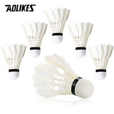 Hộp 6 cầu cầu lông AOLIKES S1006C