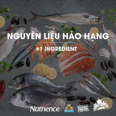 Thức Ăn Hạt Cho Chó Nutrience Subzero Grain-free - Thịt Gà Tây, Cá Hồi, Cá Đại Dương, Rau Củ Và Trái Cây Tự Nhiên 
