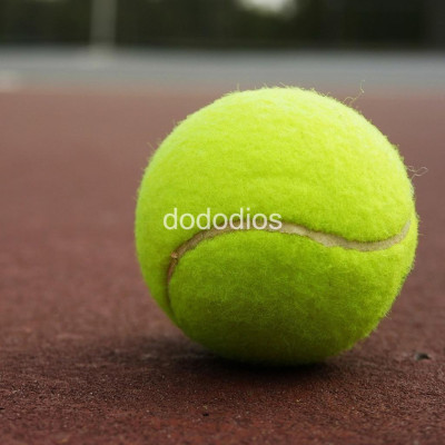 combo 3 quả bóng banh tennis chơi quần vợt cao cấp - độ nảy chuẩn quốc tế - hàng chính hãng dododios