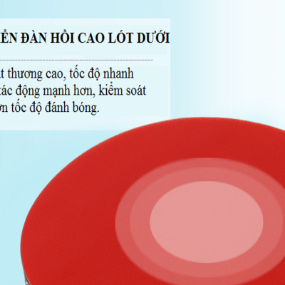 Bộ 2 Vợt Bóng Bàn Chính Hãng Amalife + Túi Đựng Vợt Bóng Bàn + 3 Bóng