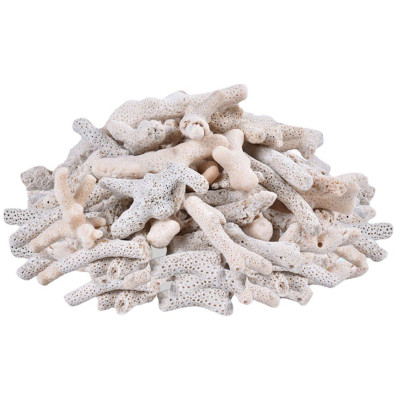 San Hô Vụn túi 1KG + 1 túi lưới đựng vật liệu lọc cho bể cá