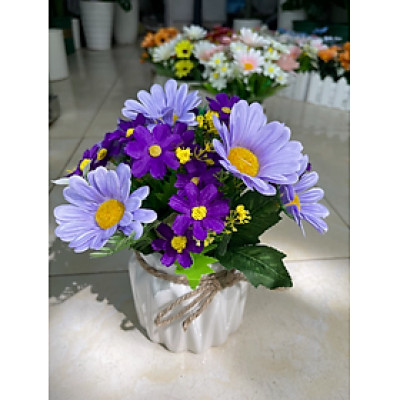 Chậu hoa đồng tiền nhân tạo để bàn làm việc - Cây giả, hoa lụa Decor trang trí nhà cửa