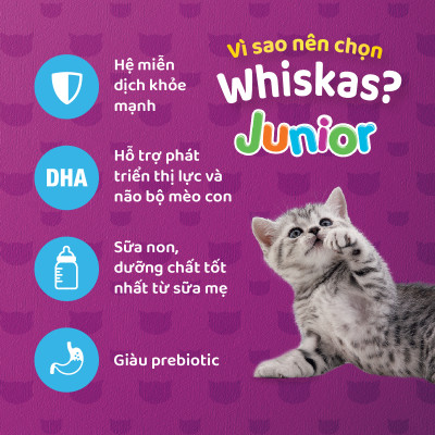 Thức Ăn Cho Mèo Con Whiskas Junior 2-12 MonthsVị Cá Biển 450g/Túi