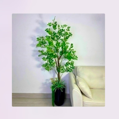 Cây thần diệu giả 170cm không chậu trang trí, decor nhà cửa, quán cafe