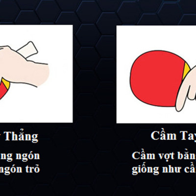 Bộ 2 Vợt Bóng Bàn Chính Hãng miDoctor + Túi Đựng Vợt Bóng Bàn + 3 Bóng 