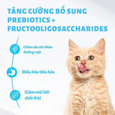 [Hỏa tốc] Pate Cho Mèo Mr.Vet Thức Ăn Ướt Bổ Sung Omega 3, Vitamin, L-Lysine Tăng Đề Kháng