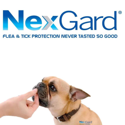 1 viên NexGard trị ghẻ, ve rận, bọ chét (chó từ 10 - 25kg)