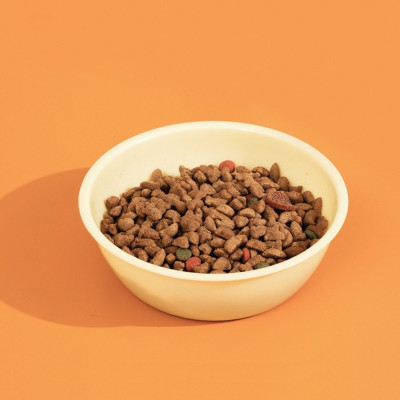 Bát Ăn Đôi Nghiêng Chống Gù Chống Lật Dành Cho Chó Mèo