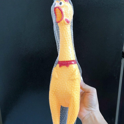 ĐỒ CHƠI ĐỦ LOẠI DÀNH CHO CHÓ MÈO BẰNG NHỰA - BÔNG NHIỀU MÀU SẮC