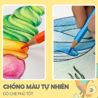 Hộp 24 Bút Chì Màu Kèm Chuốt Chì - Thiên Long CPC-C021