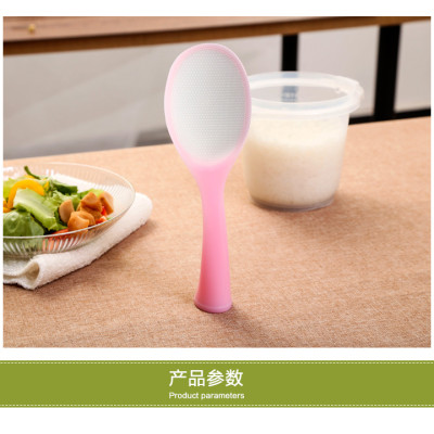 Muôi Cơm Chống Dính Tự Đứng Thông Minh & Kháng Khuẩn Cao Cấp Echo Metal 21cm