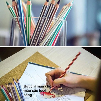 Bộ chì màu Swans 24 màu - Hộp 24 màu (CLP1869-24)