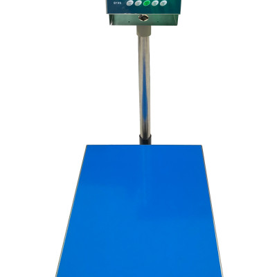 Cân Bàn Điện Tử B19S 300 kg