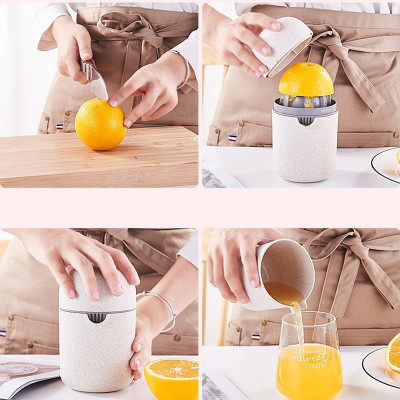 Bình vắt Cam ép Trái cây Lúa Mạch Pebble Stone