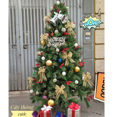 Cây thông noel cước đầu vàng gắn trái đỏ 2m1 - Mẫu cây như thật