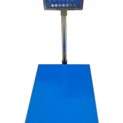 Cân Bàn Điện Tử DIGI DS-166SS 300 kg