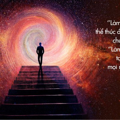 Sách Sao Ta Làm Điều Ta Làm - First News