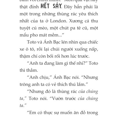 Toto - Cô Mèo Ninja