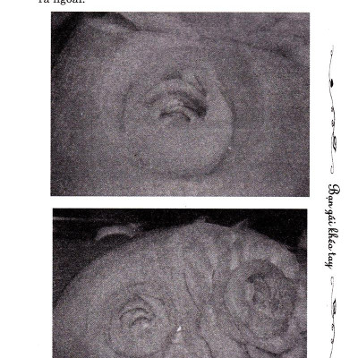 Bạn Gái Khéo Tay