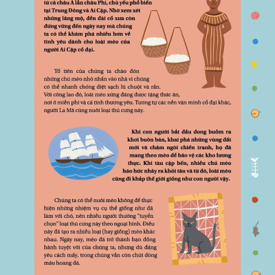 Câu Chuyện Về Loài Mèo