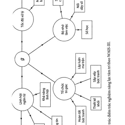 Dẫn Luận Về Trí Thông Minh
