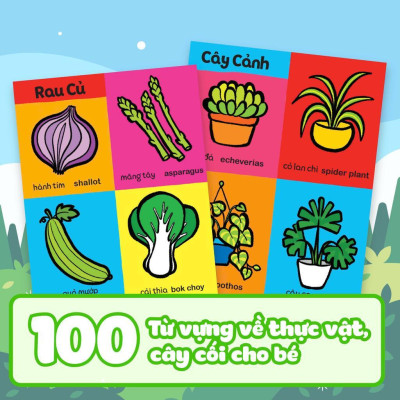 Sách - My First 100 Plants + 100 Alphabet - 100 Words - Combo 3 Cuốn - Little Rainbow - Megabook