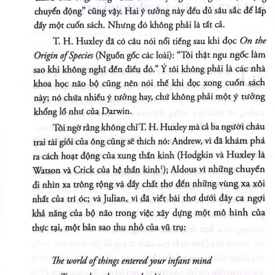 1000 Bộ Não - Lý Thuyết Mới Về Trí Tuệ Con Người