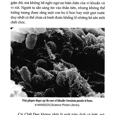 Homo Deus - Lược Sử Tương Lai