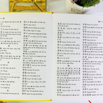 NDB - Từ điển Trung việt