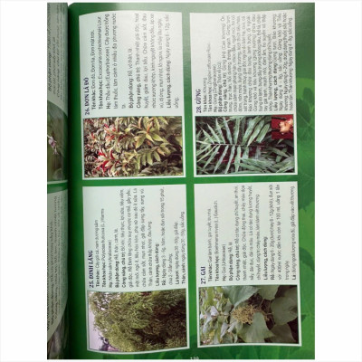 Sách Tuyển Chọn Các Bài thuốc Nam Chữa Triị Bệnh Theo Mùa, Các Bệnh Hậu COVID - V2494D