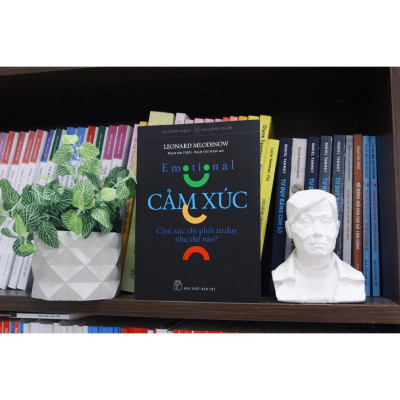 Cảm Xúc - Cảm Xúc Chi Phối Tư Duy Như Thế Nào - Bản Quyền