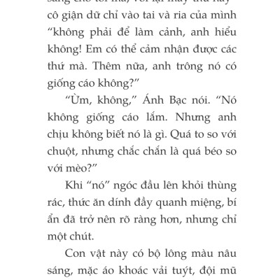 Toto - Cô Mèo Ninja