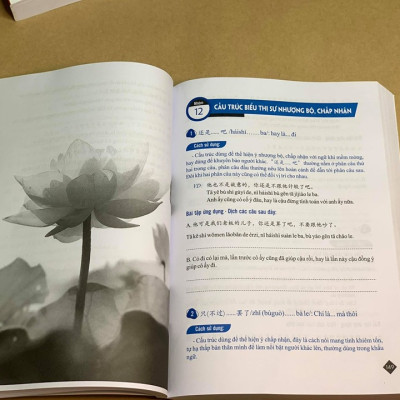 Combo 2 sách Từ điển 2 trong 1 Việt Hán Hán Việt hiện đại 1512 trang bìa cứng khổ lớn ( Hoa Việt 872 trang - Việt Hoa 640 trang) +Tuyển tập cấu trúc cố định tiếng Trung ứng dụng +DVD tài liệu