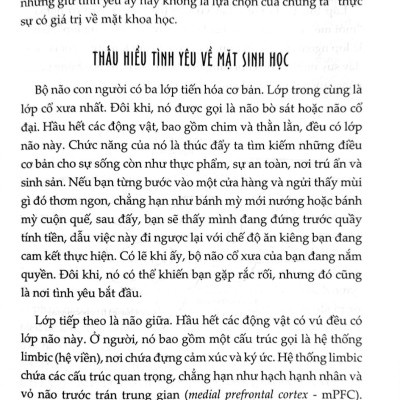 Men Chase Women Choose - Chuyện Tình Yêu Bạn Biết Được Bao Nhiêu?