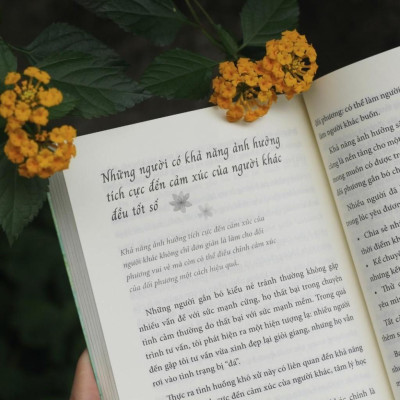 Bạn Có Hiểu Nhầm Về Người Thân Yêu Không? - Bản Quyền