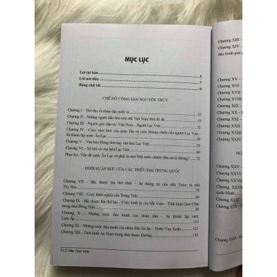 Lịch Sử Việt Nam Từ Nguồn Gốc Đến Thế Kỷ XIX