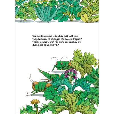 Con châu chấu đồ chơi - Tủ sách nuôi dưỡng tâm hồn