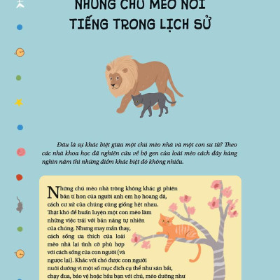 Câu Chuyện Về Loài Mèo