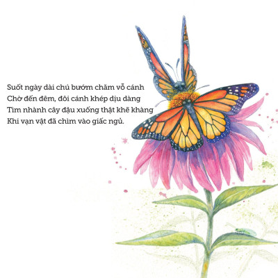 Ngủ Ấm Ngủ Êm - Đêm Nay Loài Vật Ngủ Nơi Nào?