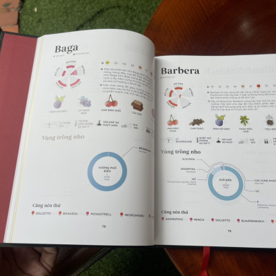 (Bìa cứng – In màu toàn bộ) WINE FOLLY Toàn Tập (Phiên bản Magnum) – TYG – NXB Phụ Nữ