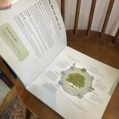 Sách - Mọi Điều Bạn Cần Biết Về Thế Giới (Nhã Nam HCM)