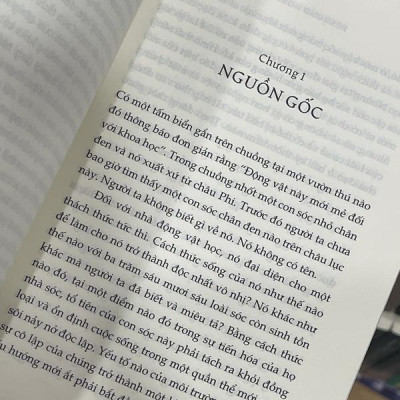 Sách - Vượn trần trụi (Desmond Morris) (Nhã Nam HCM)