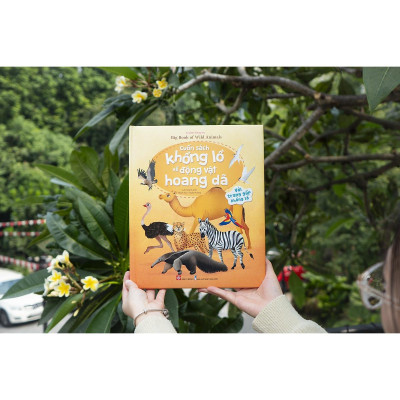 Sách - Khổng Lồ Về Động Vật Hoang Dã - Big Book Of Wild Animals - Đinh Tị Books