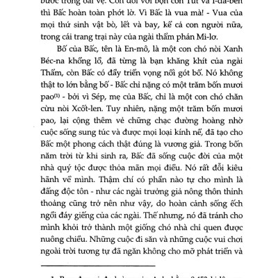 Tiếng Gọi Của Hoang Dã