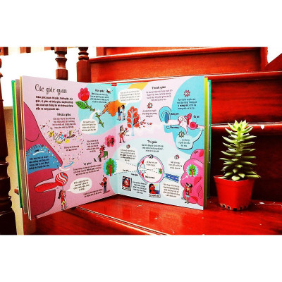 Sách - Big Book Of The Body - Cuốn Sách Khổng Lồ Về Cơ Thể Người - Đinh Tị Books