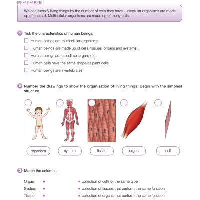 i-Learn Smart Science 5 Activity Book